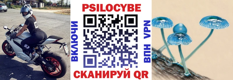 Псилоцибиновые грибы прущие грибы  блэк спрут вход  Березники 